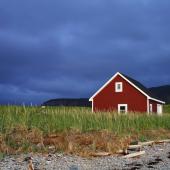 kunst art kunstmagazin nordische-krimis artist-ritual